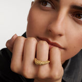 ANELLO DUNA PDPAOLA