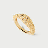 ANELLO DUNA PDPAOLA