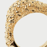 ANELLO DUNA PDPAOLA