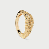 ANELLO DUNA PDPAOLA