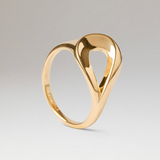 ANELLO BRISE PDPAOLA